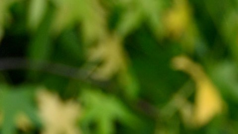 Sanz continúa manifestando su apoyo a Alves.