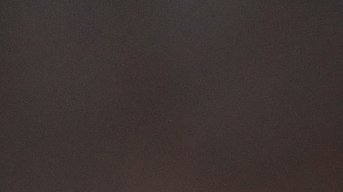 El argentino se encuentra sin equipo actualmente