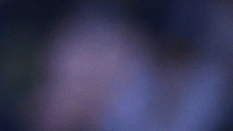 Julio César 'Cata' Domínguez durante un encuentro ante Club Tijuana.