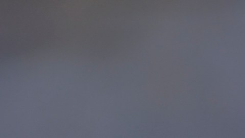 Florian Thauvin en un partido ante Tijuana.