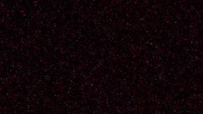 El actor Noah Schnapp.