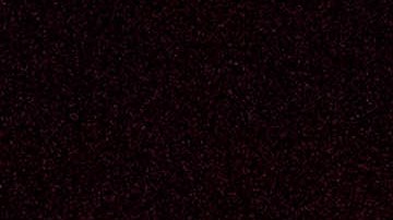 El actor Noah Schnapp.