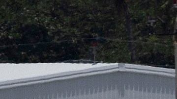 Aviones de Spirit y Frontier