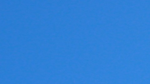Dani Alves fue desvinculado de Pumas.
