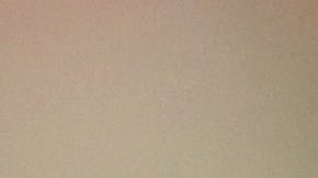 Alexander Callens se marcha de la MLS tras cinco temporadas.