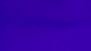 Bad Bunny: World's Hottest Tour - Los Angeles, CA