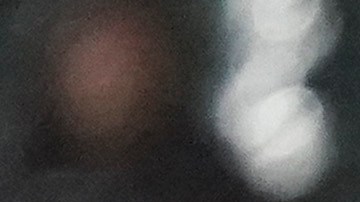 Minnesota Twins v Chicago White Sox