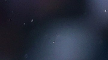 VfL Bochum 1848 v Eintracht Frankfurt - Bundesliga