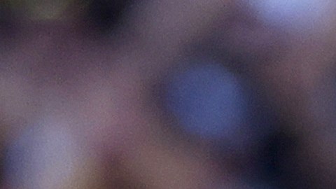 Juan Soto irá por su segunda temporada con los Padres de San Diego
