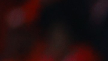 Toluca v America - Playoffs Torneo Apertura 2022 Liga MX