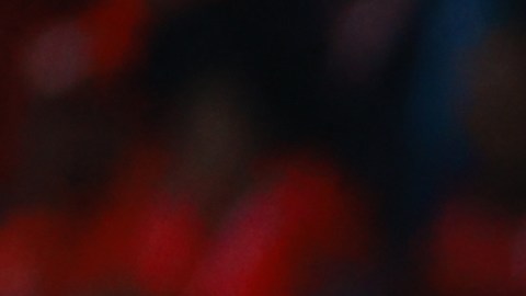 Toluca v America - Playoffs Torneo Apertura 2022 Liga MX