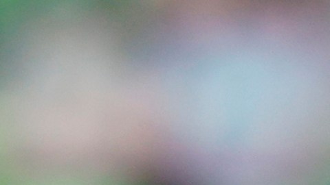 Alessandro Diamanti al momento de anotar el golazo.