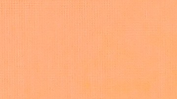 La cantante Rosalía compartió con varios colegas en Noche Vieja.