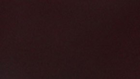 Depay jugó en los 5 partídos que disputó la selección de Países Bajos en el Mundial Qatar 2022, siendo titular en tres.