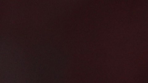 Depay jugó en los 5 partídos que disputó la selección de Países Bajos en el Mundial Qatar 2022, siendo titular en tres.