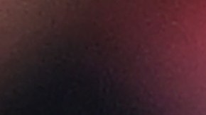 El entrenador viene de dirigir a la selección de Bélgica