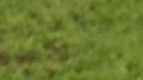 José María Giménez de Uruguay discute con el árbitro Daniel Siebert.