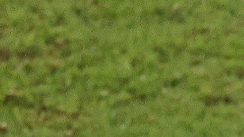 José María Giménez de Uruguay discute con el árbitro Daniel Siebert.