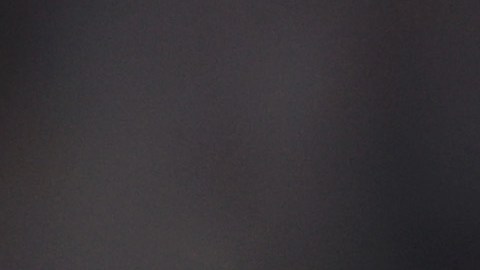 Papu Gómez se grabó en la piel los momentos clave del Mundial Qatar 2022.