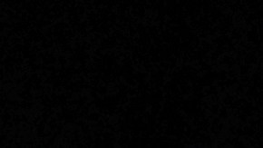 Aaron Judge Press Conference