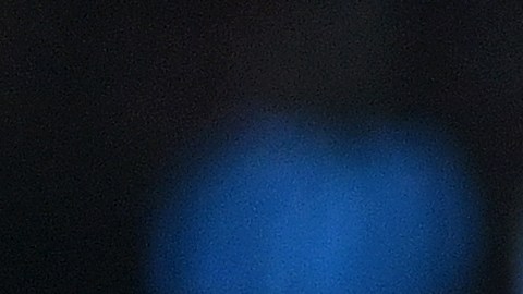 Lionel Messi cerró el 2022 ganando la Copa del Mundo