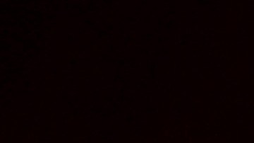 El mediocampista tiene buen presente en el Brighton