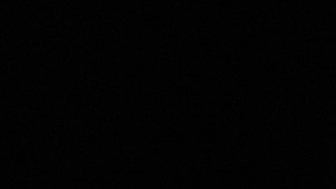 Donald Trump Capitolio