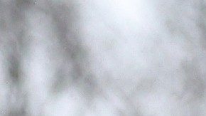 Joe Biden Armas nucleares Corea del Sur Corea del Norte