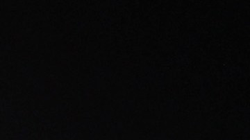 Pulisic regresaría a la acción a principios de marzo.