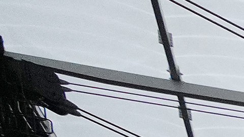 El hecho ocurrió durante el partido de este sábado entre Raiders y Chiefs.