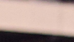 Dane Belton celebra con sus compañeros luego de lograr una intercepción.