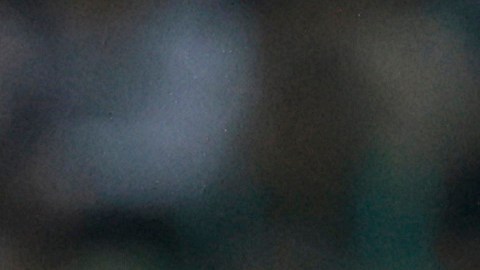 Santos Laguna v Tigres UANL - Torneo Clausura 2023 Liga MX
