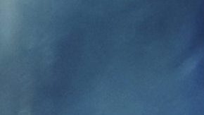 Lisa Marie Presley fue vista en la más reciente ceremonia de los Golden Globes.