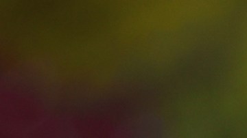 America v Puebla - Torneo Clausura 2023 Liga MX