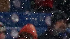 Jugadores de Cincinnati Bengals celebran con su público la victoria.