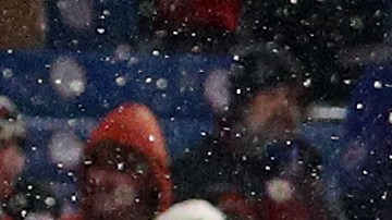 Jugadores de Cincinnati Bengals celebran con su público la victoria.