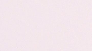 Lisa Marie Presley se convirtió en la dueña principal de esta propiedad en 1993.