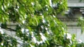 "Los abusadores no tienen lugar en el campus", alegaron los estudiantes.