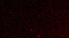 Imagen de una tormenta solar en noviembre de 2003 proporcionada por la NASA,