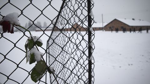 El Servicio Penitenciario Federal Ruso establecerá 24 nuevas colonias penales en las 4 regiones de Ucrania "anexadas".