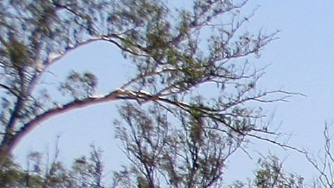 El avión Cessna 206 fue robado del “Aeroclub Villa Ángela”.