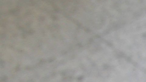 Boca Ratón Antisemita antisemitismo Florida