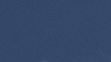 Las pruebas de ADN presentadas previamente en el caso no coincidían con el perfil Schweitzer.