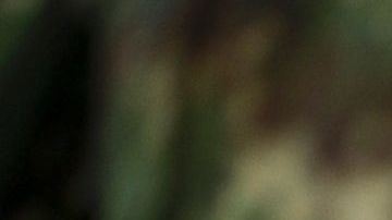 TOPSHOT-COLOMBIA-FARC-PEACE-DEMOBILIZATION-CAMP