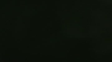 Donald Trump Meta Facebook Meta Davos