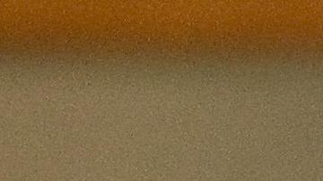 Mexican President Felipe Calderon (R) an