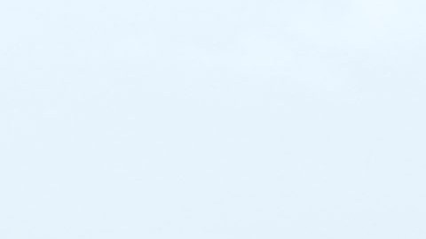 Puerto Rico agricultura huracán María