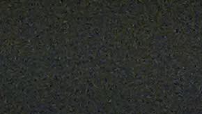 Pumas' footballer Javier Cortes vies for