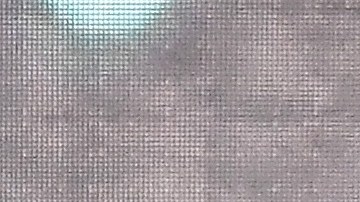 Foo Fighters y sus fanáticos se reencontrarán muy pronto, según comunicado de la banda.