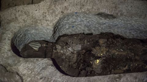 Los restos de "Hekashepes" fueron descubiertos en un sarcófago de piedra caliza cubierto de pan de oro.